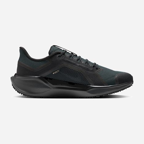 NIKE Ανδρικά Παπούτσια για Τρέξιμο Pegasus 41 GORE-TEX (1068017)