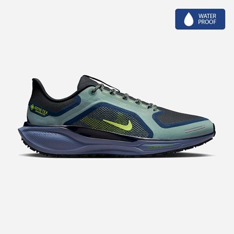 NIKE Ανδρικά Αδιάβροχα Παπούτσια για Τρέξιμο Pegasus 41 GORE-TEX (1064749)