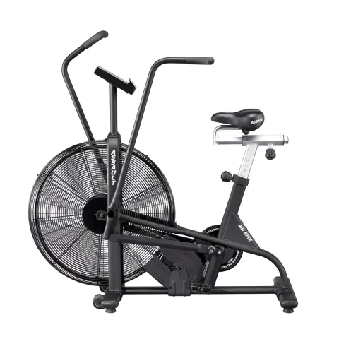 ASSAULT AIR BIKE