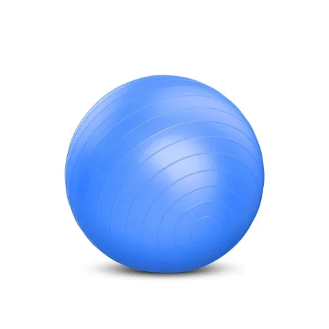 Exercise Ball 75 cm (X-FIT)