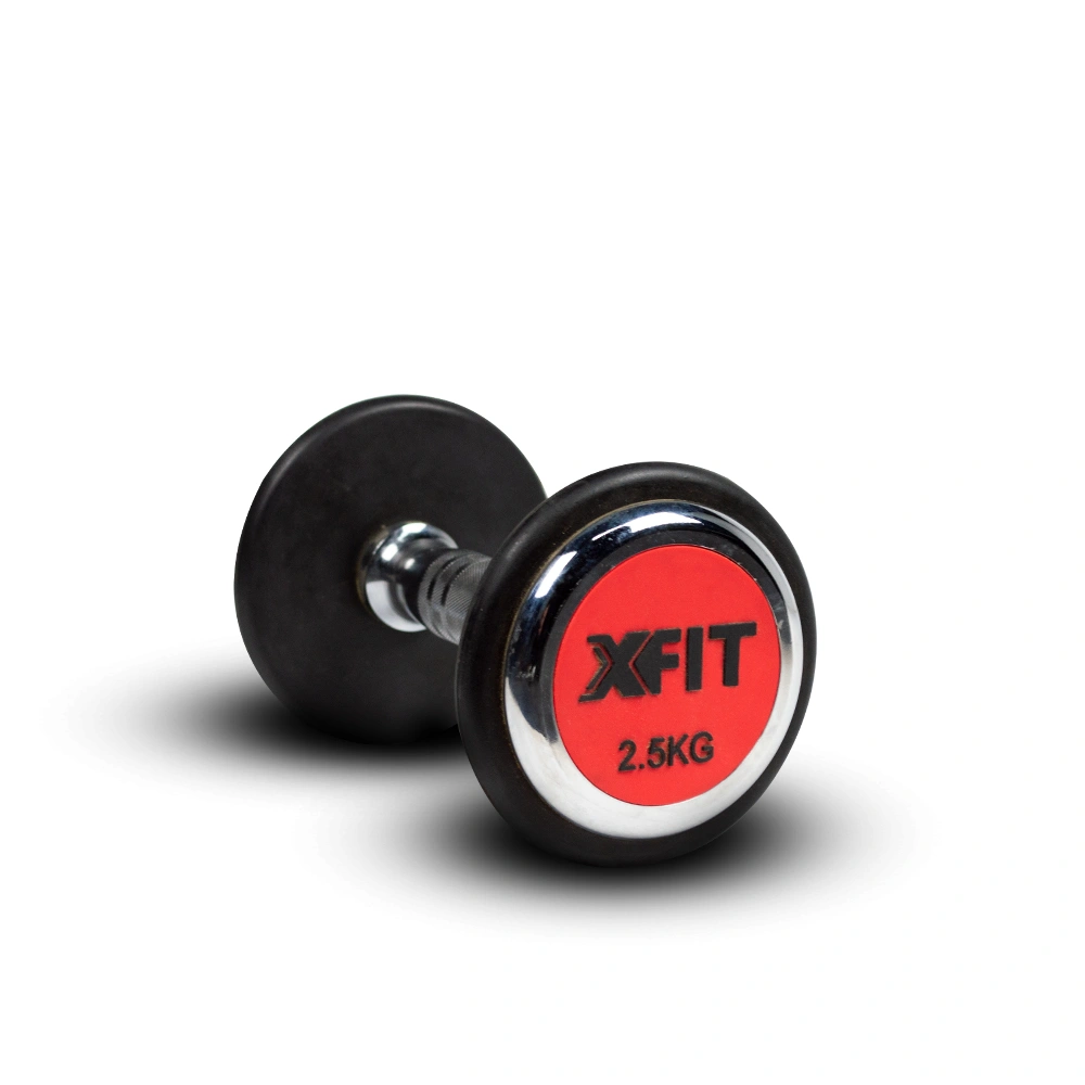 Dumbbell Professional 2,5kg (28203) (X-Fit)
