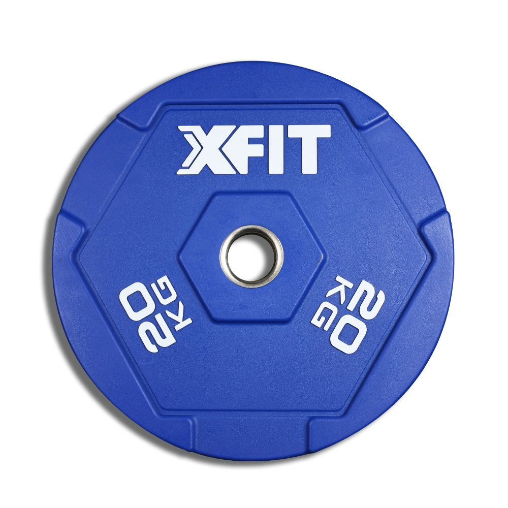 Echo Bumper Plate 20kg (X-FIT)