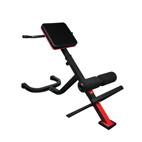 Back bench 45 degrees X-FIT 84