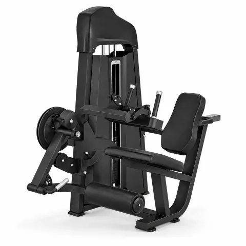 Leg Curl / Extension Dual