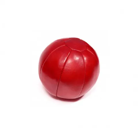 Leather Medicine Balls