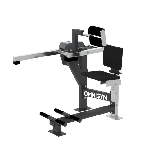 Omnigym Seated Back Extension