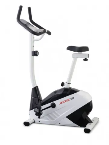 SURGE 7009 Magnetic Bike
